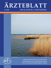 Titelbild der Ausgabe Nov 2020 des Ärzteblattes Mecklenburg-Vorpommern